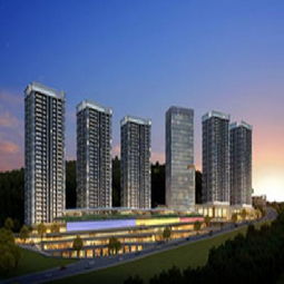 重庆市房地产开发网 项目详情查看