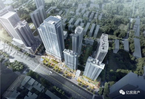 武汉中建三局星谷房地产开发 中建东湖之星 规划方案